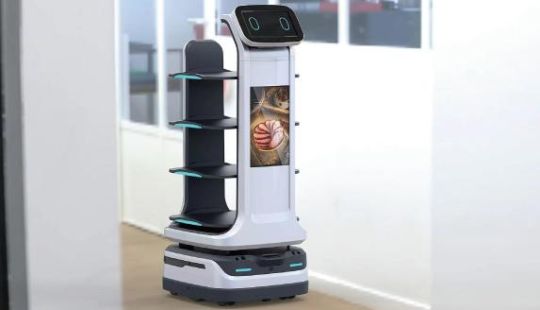 Applications of Intelligent Delivery Robots